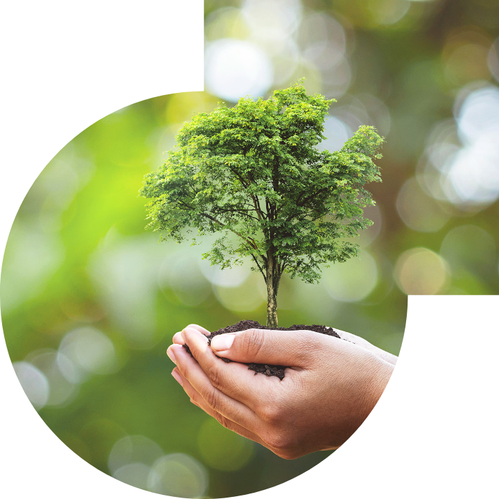 關懷人類、文化、環境與社會